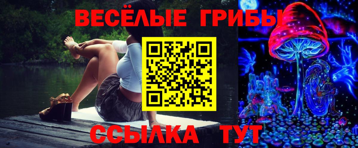 сколько стоит  Галлюциногенные грибы Magic Shrooms  Вход с VPN  Ипатово 