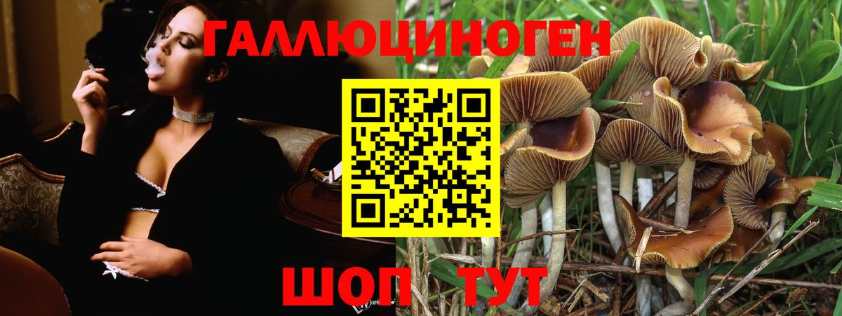 Галлюциногенные грибы ЛСД Ипатово